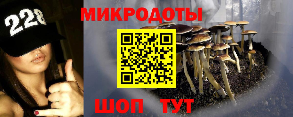 Псилоцибиновые грибы Psilocybe  Вход с VPN  Наро-Фоминск 